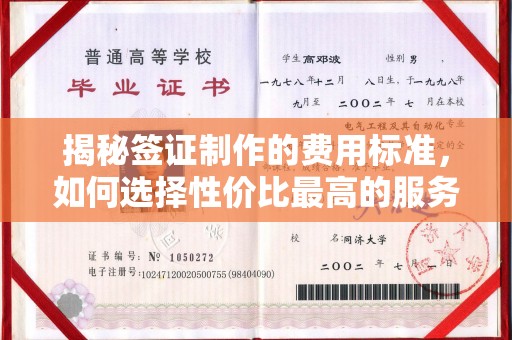 阳春揭秘签证制作的费用标准，如何选择性价比最高的服务？